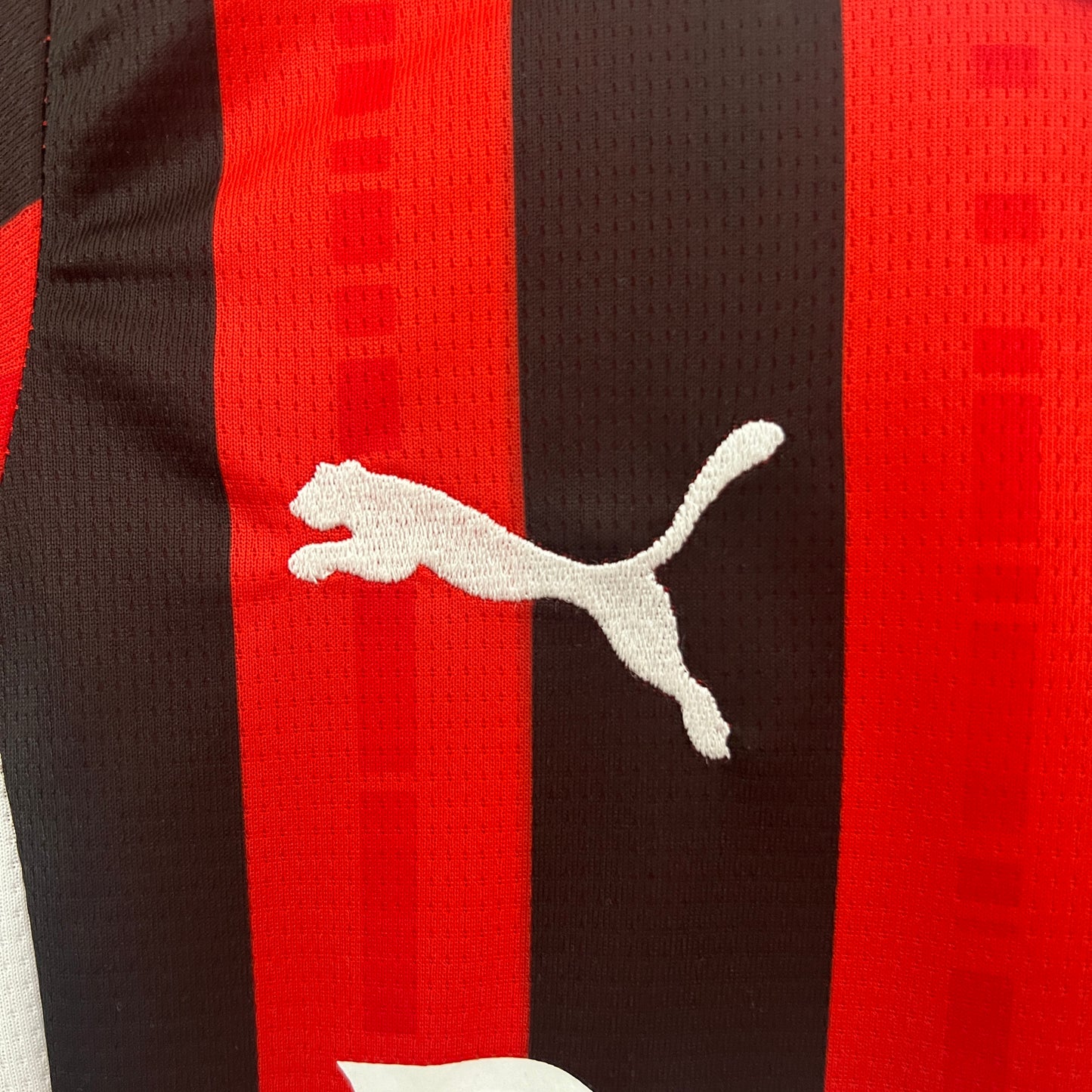 Maillot Enfant Domicile AC Milan 2024/2025 Taille : 16-28